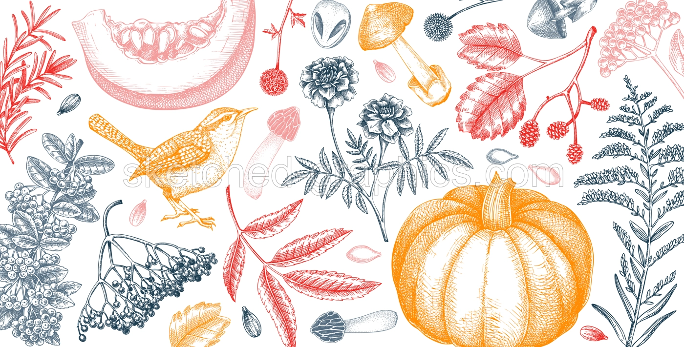 Warm autumn banner in sketch style. Fall leaves, pumpkins, berries, mushrooms  hand-drawn vector illustrations. Vintage botanical banner design. NOT AI generated Illustration
